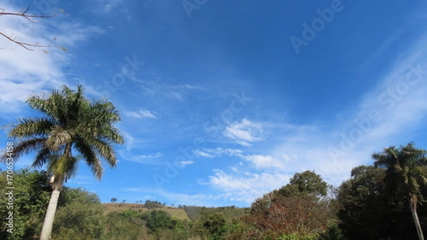 Obraz clouds over the forest