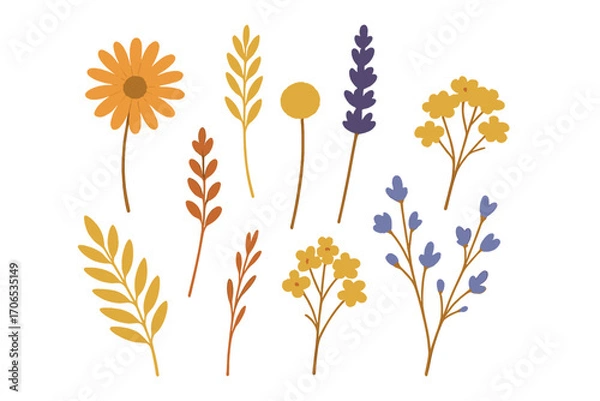 Fototapeta Colorful floral elements in a modern illustrating style dried flowers for crafts