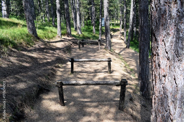 Fototapeta Obstacles for crossing and training in the forest