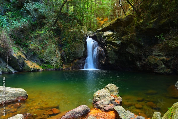 Obraz 仙厳の滝　静岡県浜松市