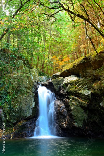 Obraz 仙厳の滝　静岡県浜松市