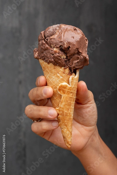 Obraz ice cream in hand