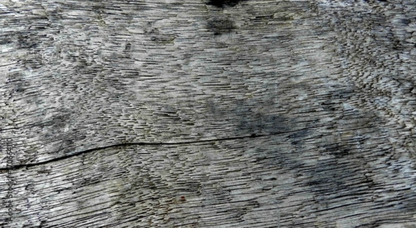 Fototapeta Wood texture background
