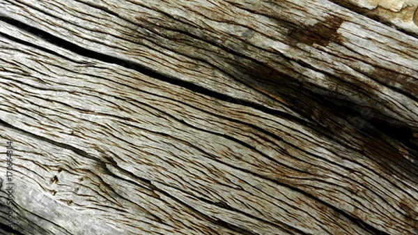 Fototapeta Wood texture background