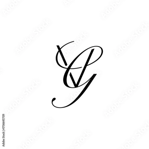 Obraz initial letter V with g script logo