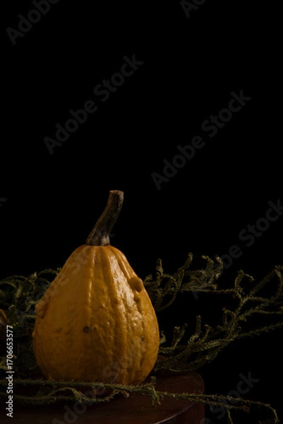 Obraz pumpkin on black