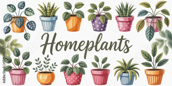 Fototapeta A visually appealing collection of home plants in different pots, showcasing their unique shapes and colors, perfect for enriching indoor spaces with vibrant greenery.
