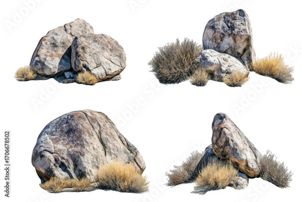 Obraz Four detailed views of massive boulders with dry desert bushes isolated on transparent background