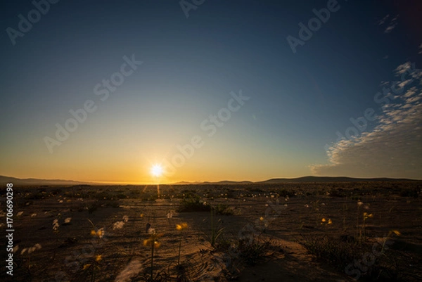 Obraz The sun sets over the distant hills of the Atacama Desert, casting a warm glow on the unique flowering landscape.