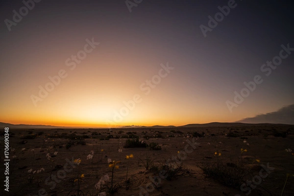 Obraz A tranquil desert landscape at sunset, showcasing the vibrant orange and blue sky over the blooming Atacama Desert.