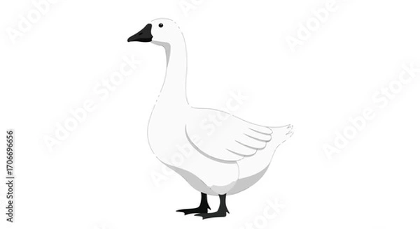 Fototapeta Graceful White Goose Illustration Standing Calmly on a Plain Backdrop Simplicity and Serenity Expressed Through a Minimalist Animal Portrayal