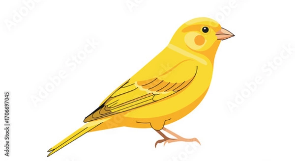 Fototapeta Vibrant canary illustration showcasing detailed feathering and clean lines on a white background portraying natural beauty and simplicity