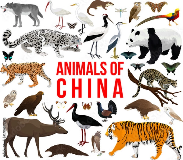 Fototapeta vector set - animals of china