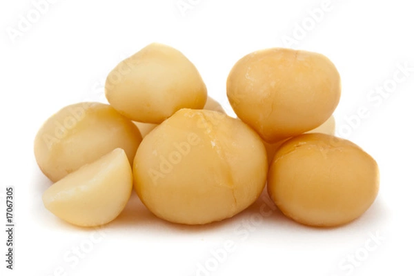 Obraz Macadamia nuts