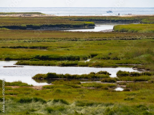 Fototapeta Impressionistic Photograph of a River and Marsh with the Atlantic Ocean in the Background