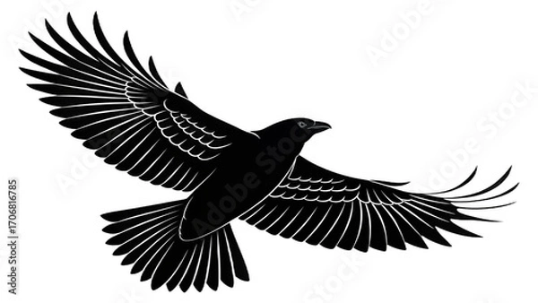 Fototapeta A striking silhouette of a raven in flight against a stark black background with wings spread wide