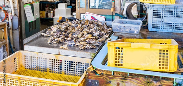 Fototapeta 牡蠣の水揚げ直売所