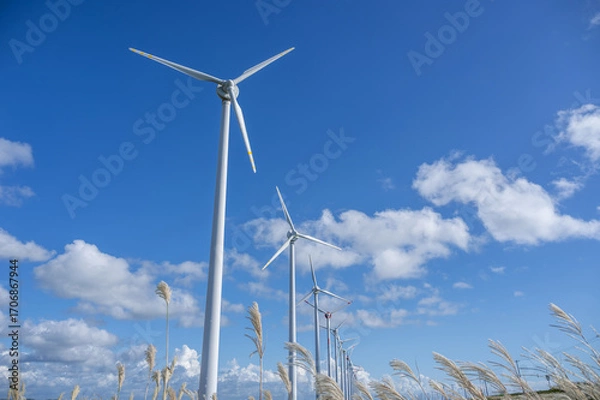Fototapeta A row of many wind power plants on the wilderness where silver grass grows near the coast in northern Hokkaido, Japan