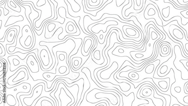 Fototapeta Abstract topographic lines background. Organic contour lines pattern. Abstract wavy line texture. Elegant topography for websites and presentations