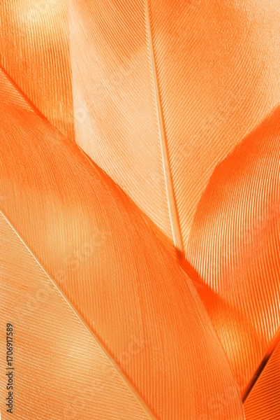 Fototapeta Nature pattern of bird feathers, beautiful natural texture with delicate detail, fluffy yellow orange color feather closeup. Abstract plumage macro photo. Autumnal gradient color, expressive structure
