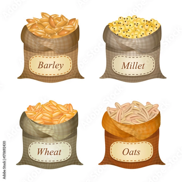 Obraz Four untied sacks with cereal and labels on them / Untied sacks with barley, millet, wheat, oats and names on them
