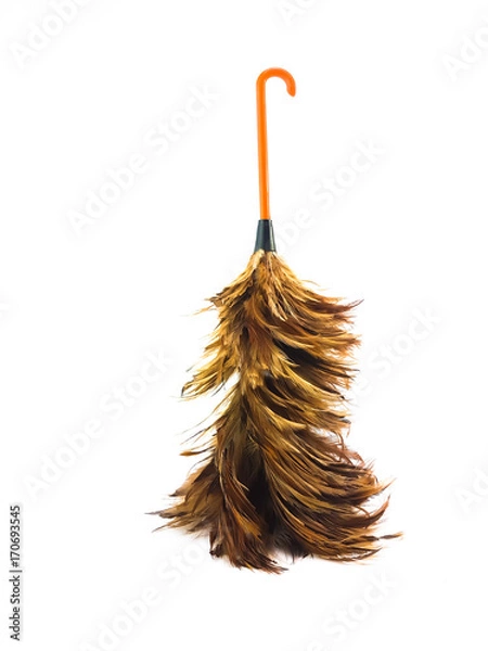 Fototapeta The upside down of short Chicken feather cleaner tool with orange of hook handle