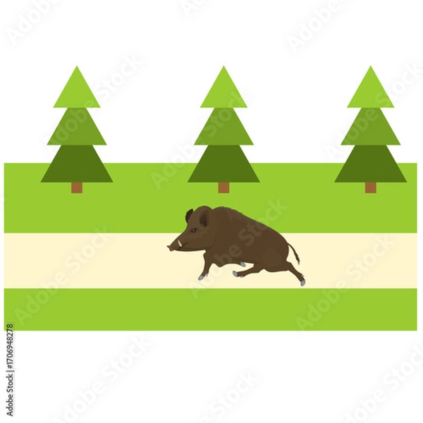 Fototapeta Wild boar. Wild pig runs through the forest, vector illustration
