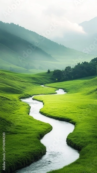 Fototapeta Winding River Through Green Valley