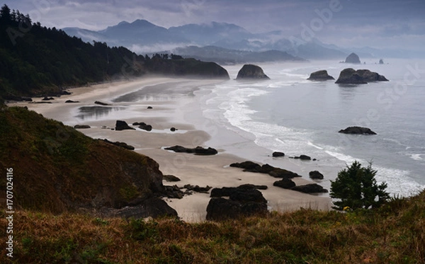 Obraz Morning fog over the Oregon coast