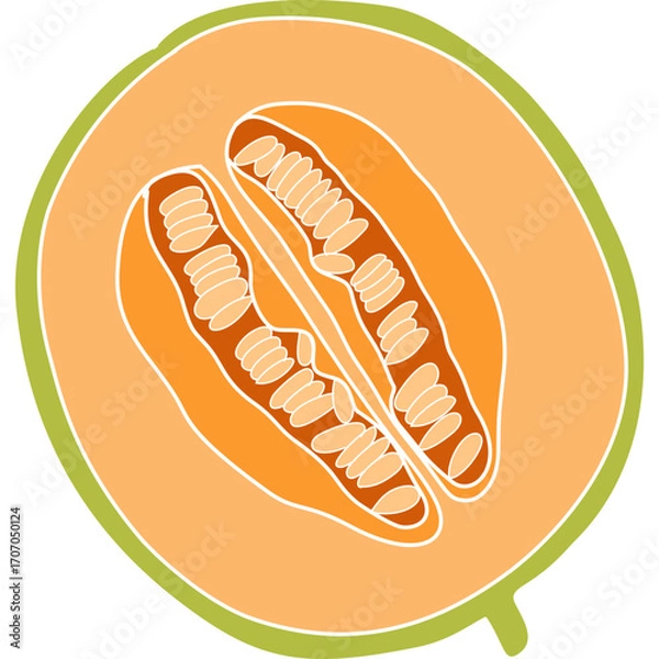 Fototapeta Vector illustration of cantaloupe melon sliced in half, showing orange flesh and seeds. Perfect for food, nutrition, and summer fruit design.