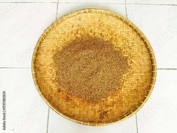 Fototapeta Dry the coriander in the sun. The traditional process of drying coriander.