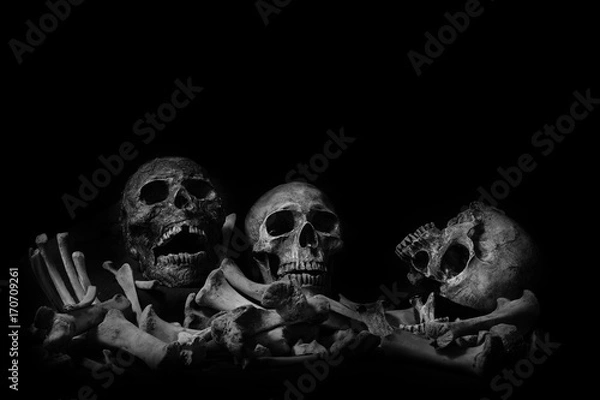 Fototapeta Awesome pile of skull human and bone on wooden, black cloth background. Still Life style, selective focus,