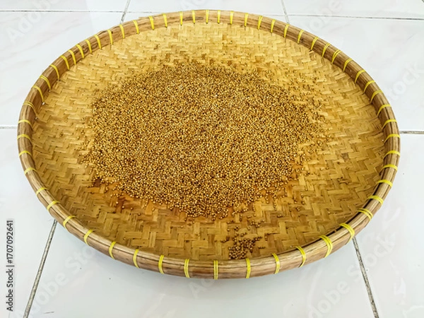 Fototapeta Dry the coriander in the sun. The traditional process of drying coriander.
