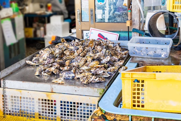 Fototapeta 牡蠣の水揚げ直売所
