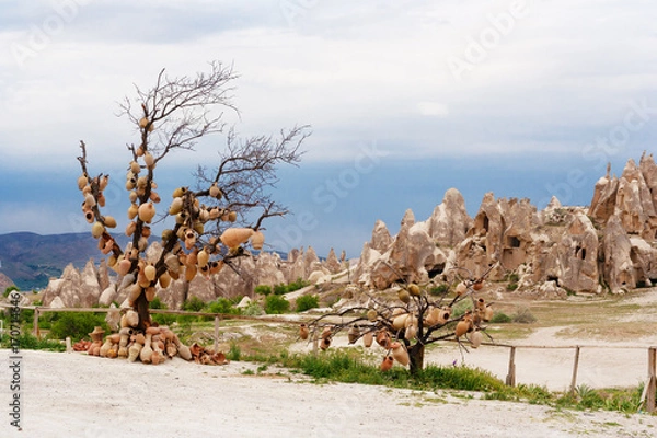 Fototapeta Pottery is hanging on a tree on the roadside in Goreme. Cappadocia