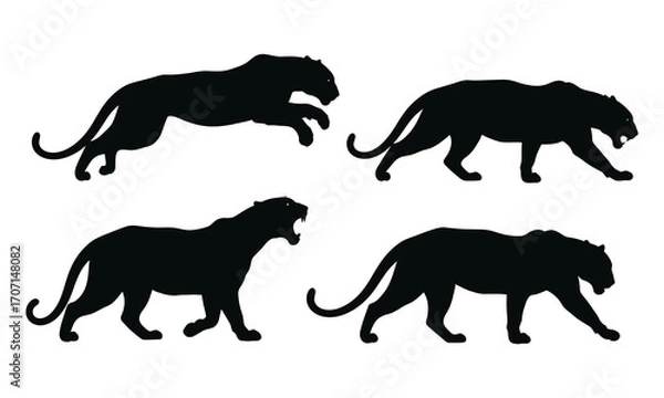 Fototapeta Silhouette of panthers in various poses isolated on white background vector illustration of a panther in different positions, such as walking, running, and roaring