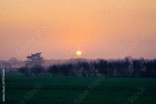 Obraz sunset over the field