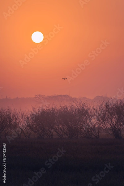 Obraz sunset in the mountains