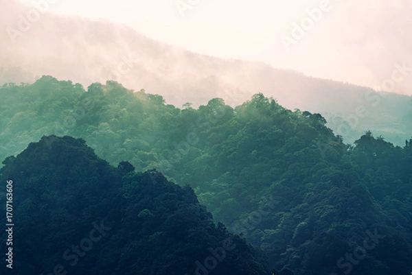 Obraz misty mountain landscape