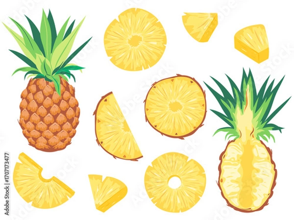 Fototapeta Pineapple Fruit Set. Whole, Half and Round Slices. Juicy Tropical Fruit. Vector Illustrations