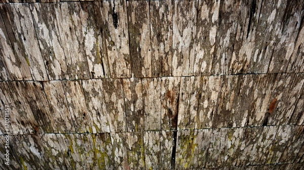 Obraz Wood background