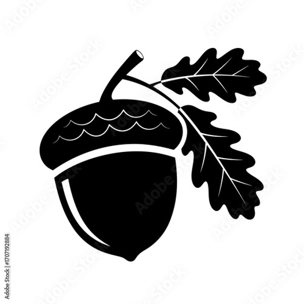 Fototapeta acorn, silhouette, icon, black, oak, leaf, clipart, nature, symbol, logo, vector, graphic, autumn, fall, seed, nut, forest, tree, illustration, outline, minimalist, design, element, botanical, natural