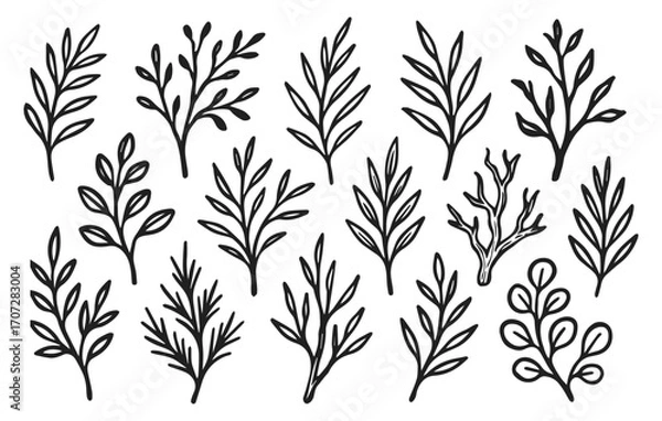 Fototapeta Leaf branch doodle collection isolated on transparent background, generative ai