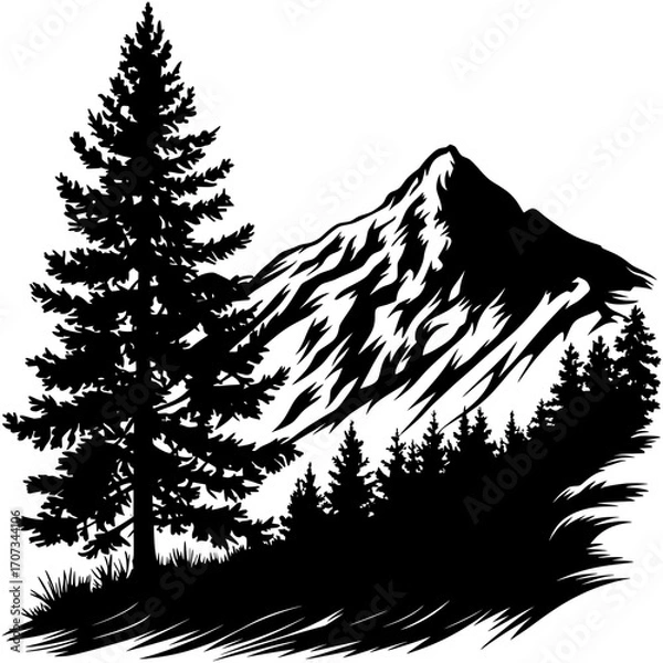 Obraz Mountain Pine Vector SVG