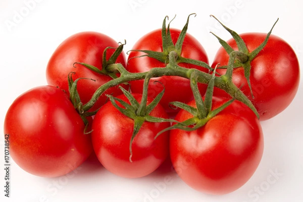 Obraz Tomatoes