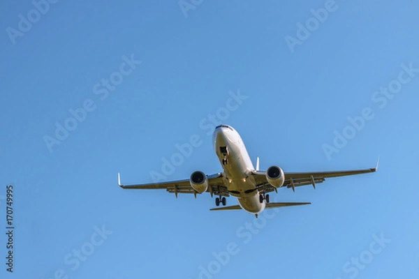 Fototapeta 青空を滑空する旅客機