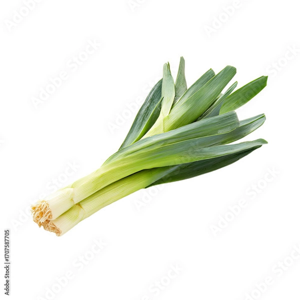 Obraz Fresh green leek