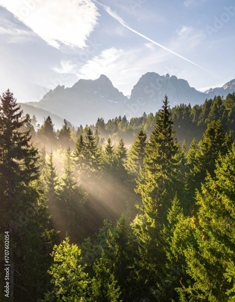 Fototapeta Sunbeams pierce through the evergreen forest, illuminating the morning mist and distant mountain peaks in a serene, scenic landscape