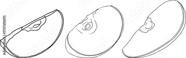 Fototapeta Line apples, perfect for educational or botanical designs. High quality illustration, coloring pages.	