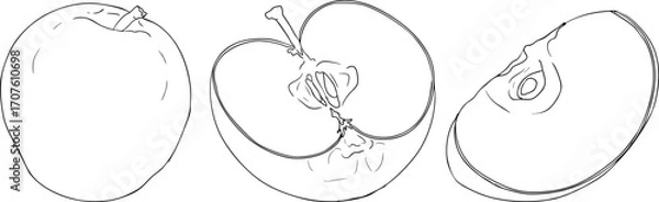 Fototapeta Line apples, perfect for educational or botanical designs. High quality illustration, coloring pages.	